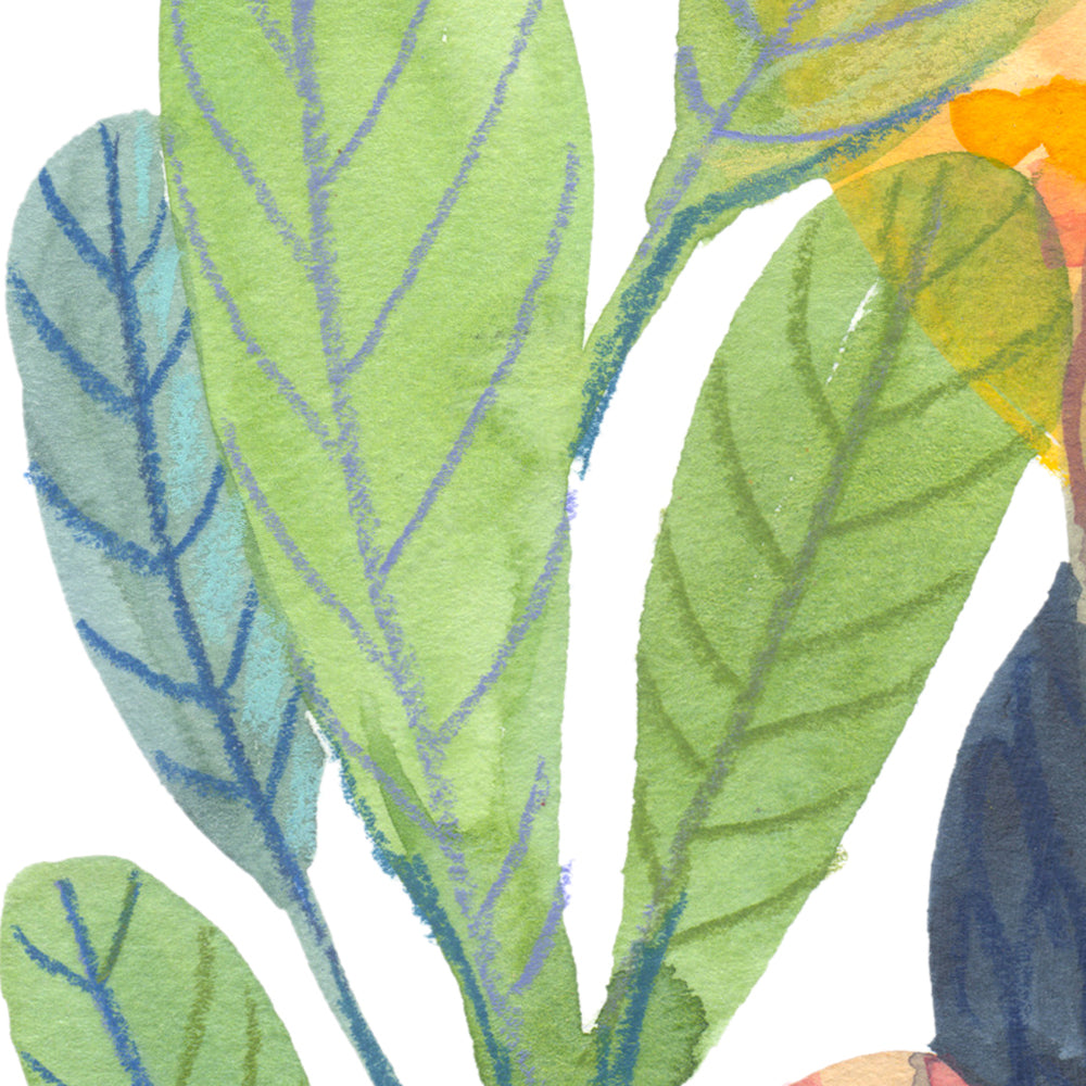 Into the Canopy - Signed and Numbered Limited Edition Print.