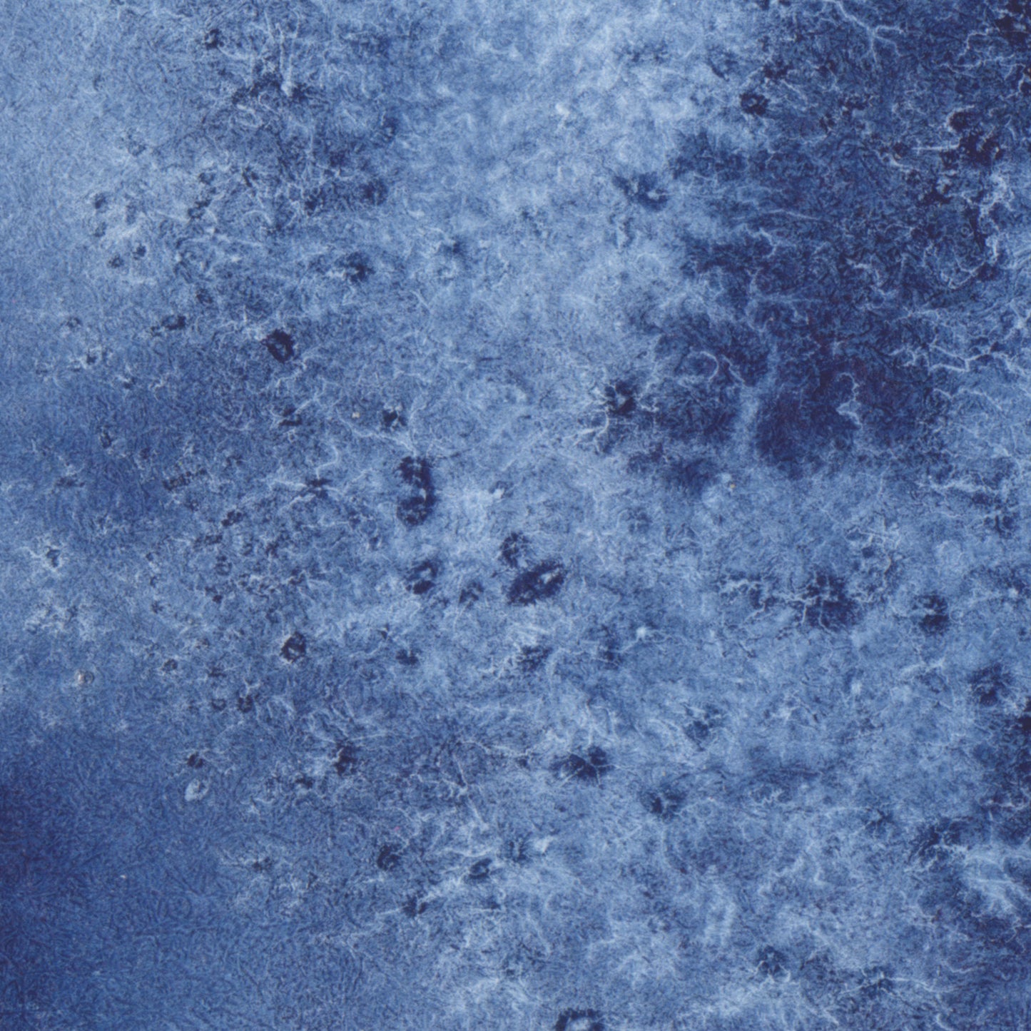 Pink Dappled Eagle - Signed and Numbered Limited Edition Print.