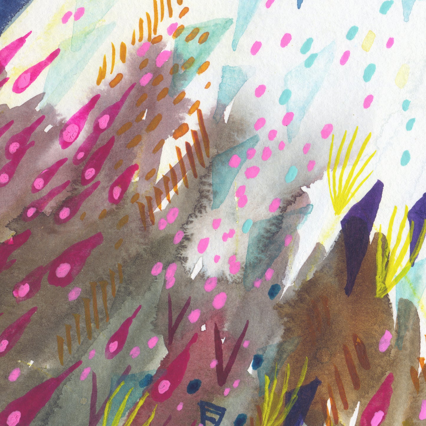 Pink Dappled Eagle - Signed and Numbered Limited Edition Print.