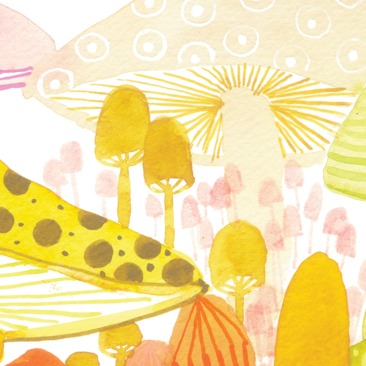 Full Spectrum Mushrooms - Production Print