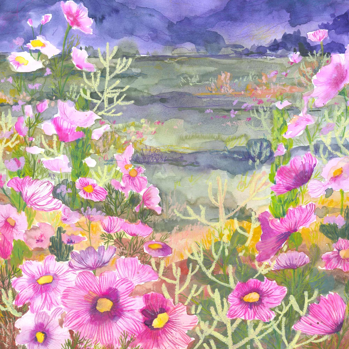 Desert Cosmo Dream - Signed and Numbered Limited Edition Giclee Prints
