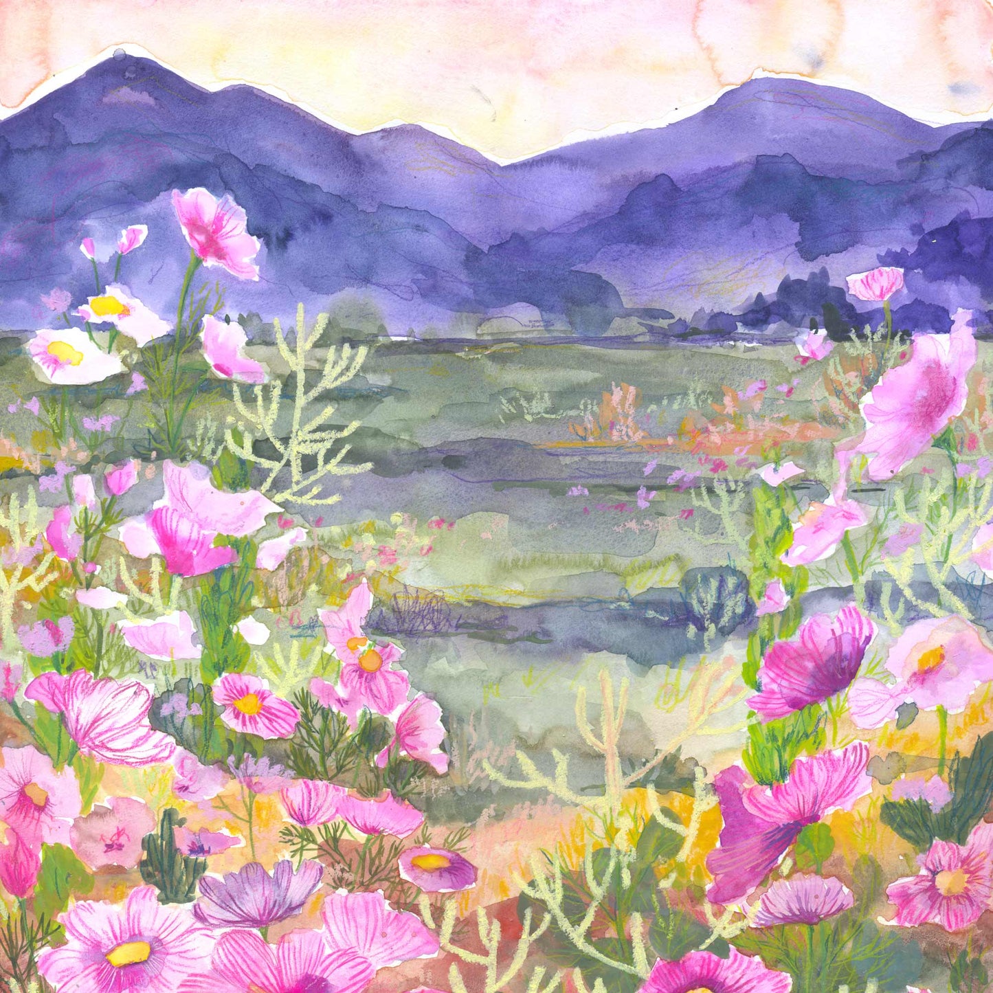 Desert Cosmo Dream - Signed and Numbered Limited Edition Giclee Prints