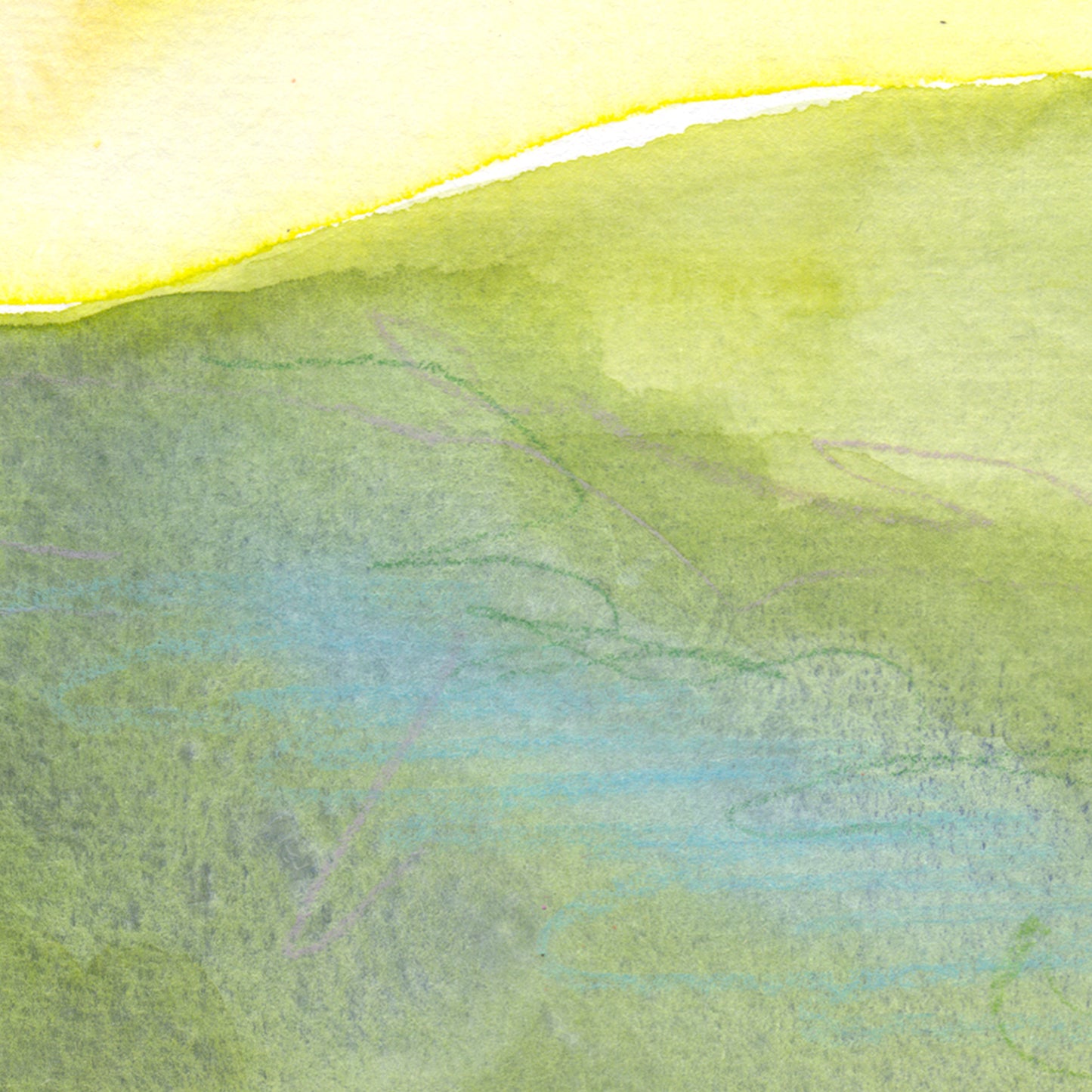 "Poppy Day" Original Watercolor Painting - Framed