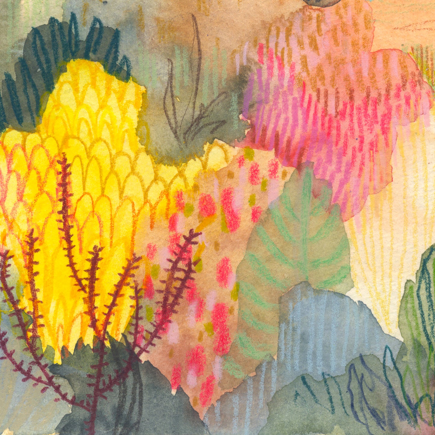 Pink Desert Grazing- Signed and Numbered Limited Edition Giclee Prints