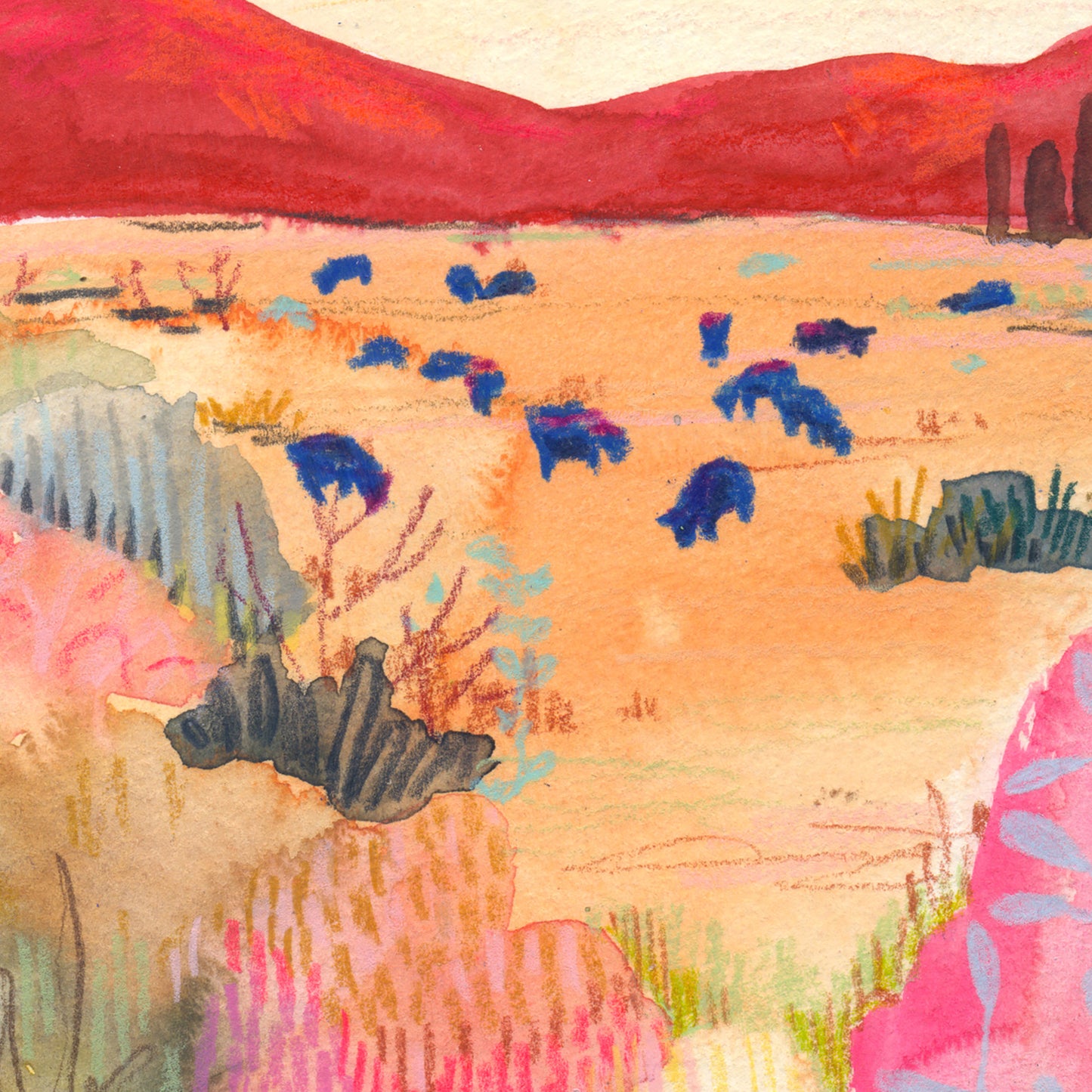 Pink Desert Grazing- Signed and Numbered Limited Edition Giclee Prints